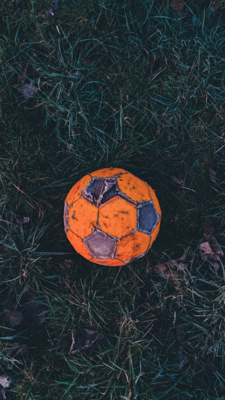 Ballon de Football Orange et Noir Sur L'herbe Verte. Wallpaper in 750x1334 Resolution