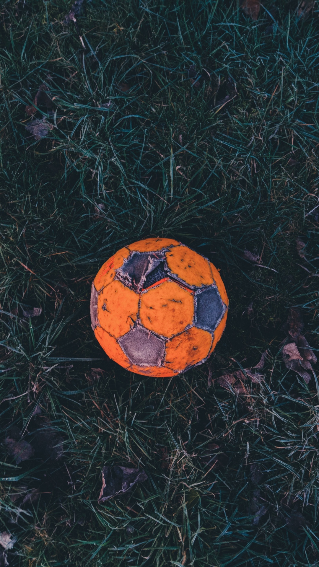 Orange-schwarzer Fußball Auf Grünem Gras. Wallpaper in 1080x1920 Resolution