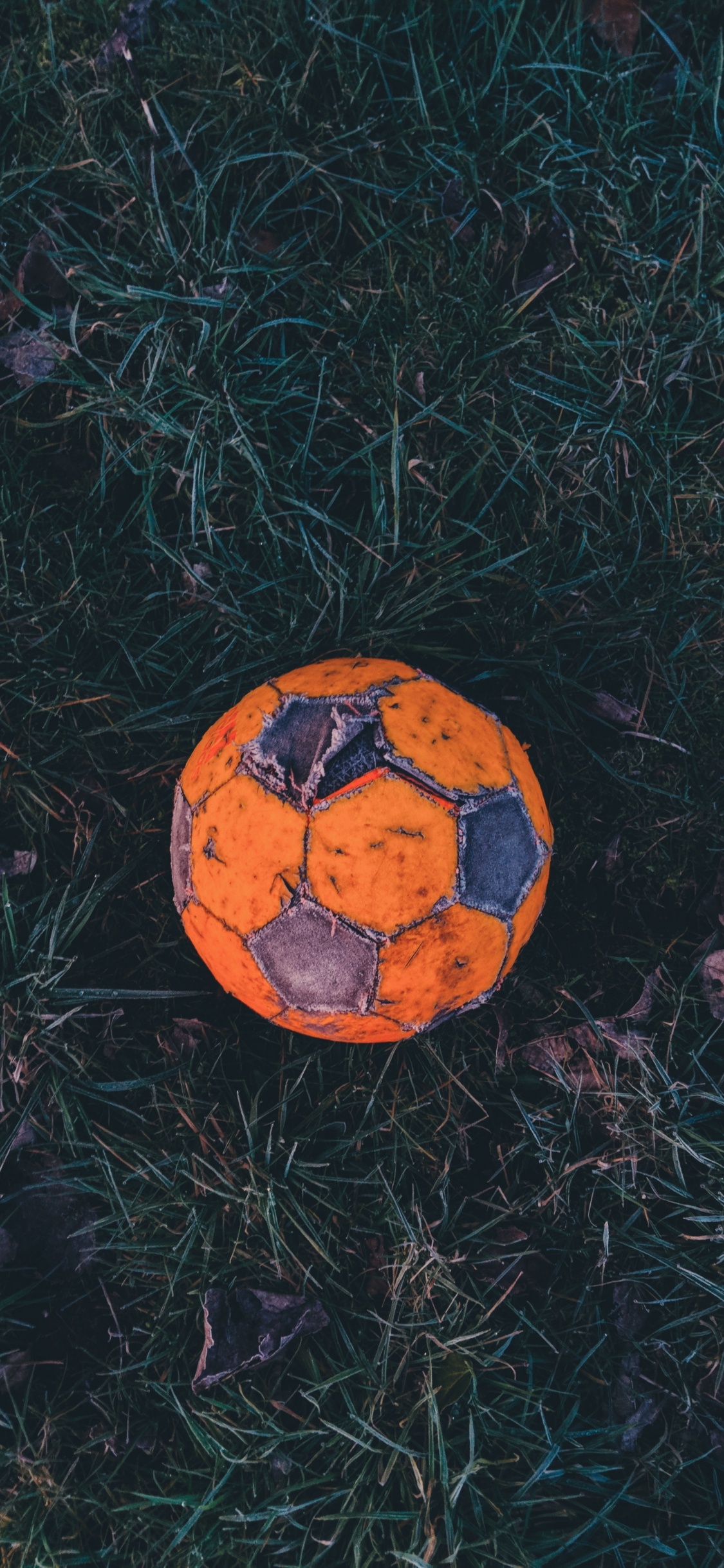 Orange-schwarzer Fußball Auf Grünem Gras. Wallpaper in 1125x2436 Resolution