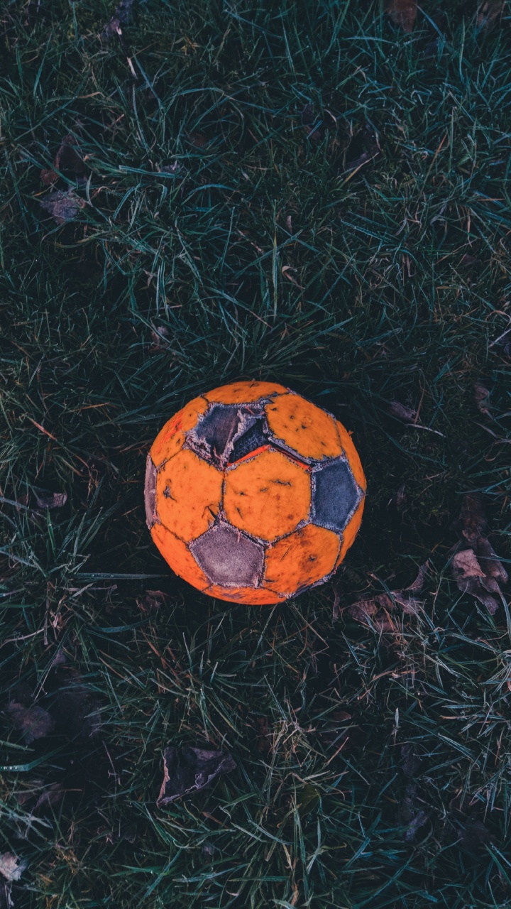 Balón de Fútbol Naranja y Negro Sobre la Hierba Verde. Wallpaper in 720x1280 Resolution