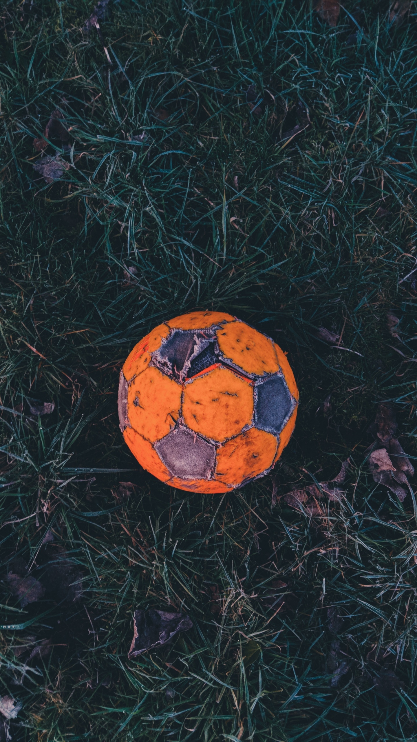 Orange and Black Soccer Ball on Green Grass. Wallpaper in 1440x2560 Resolution