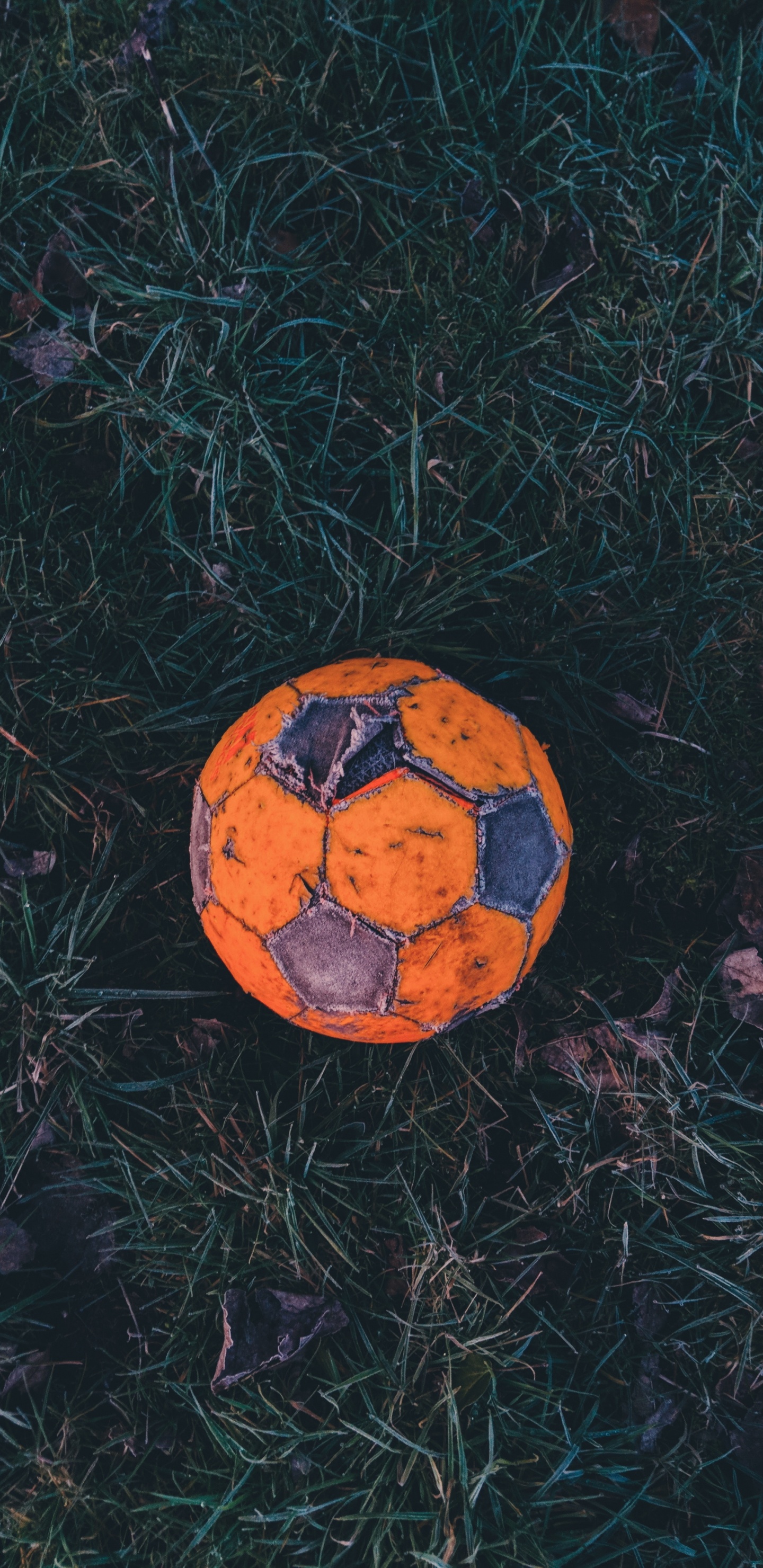 Orange and Black Soccer Ball on Green Grass. Wallpaper in 1440x2960 Resolution
