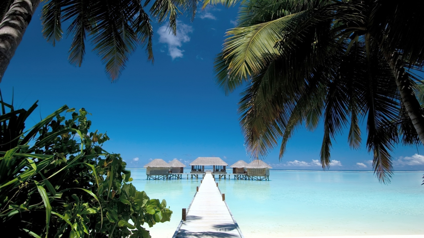 White Wooden Dock on Beach During Daytime. Wallpaper in 1366x768 Resolution
