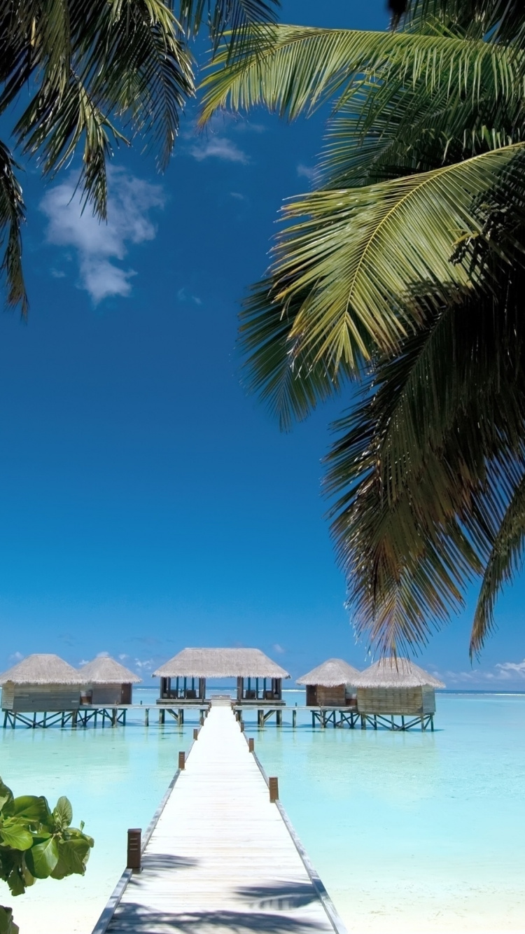White Wooden Dock on Beach During Daytime. Wallpaper in 750x1334 Resolution