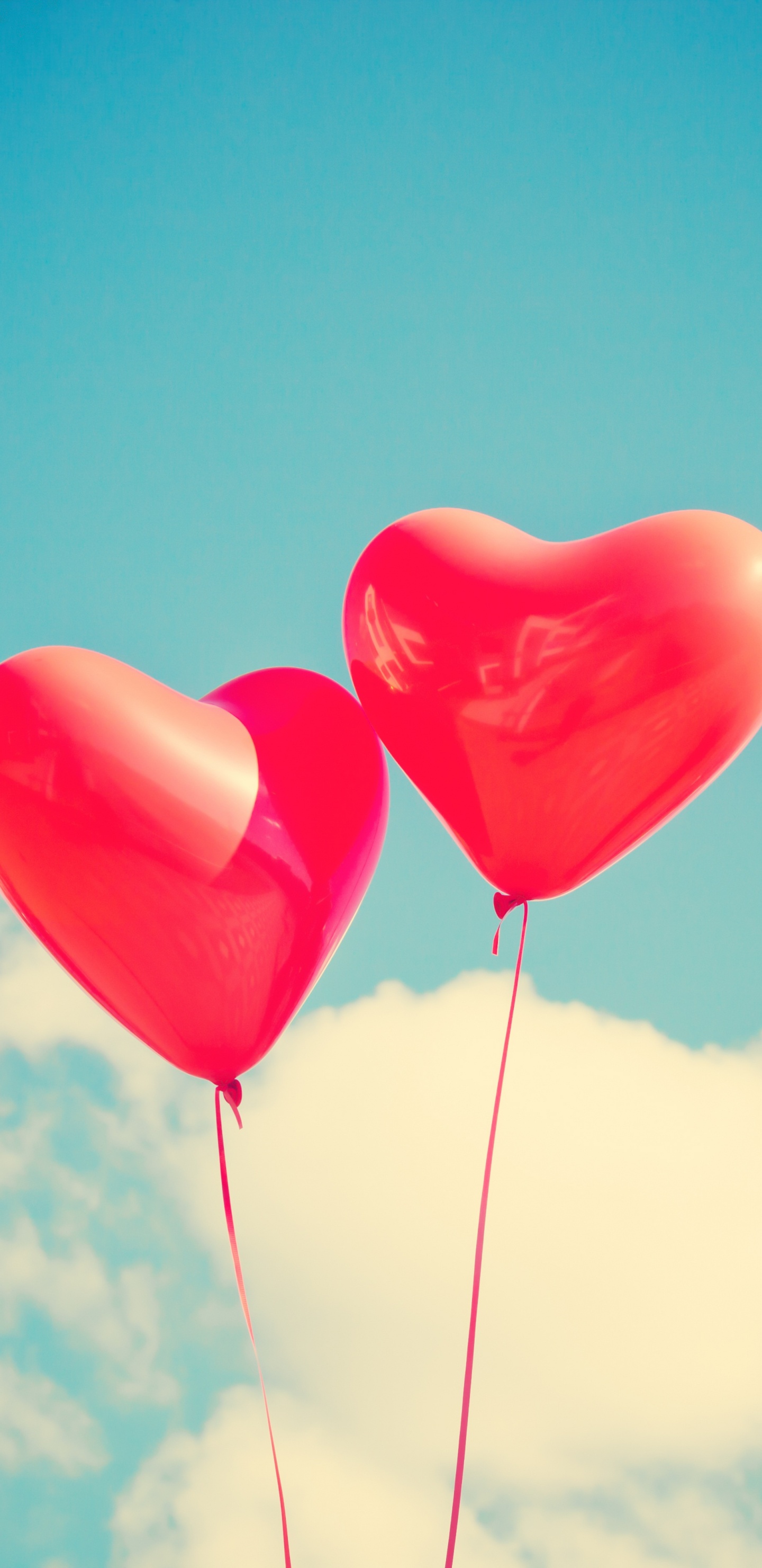 Globo Corazon, Globo, Coraz, el Día de San Valentín, Amor. Wallpaper in 1440x2960 Resolution