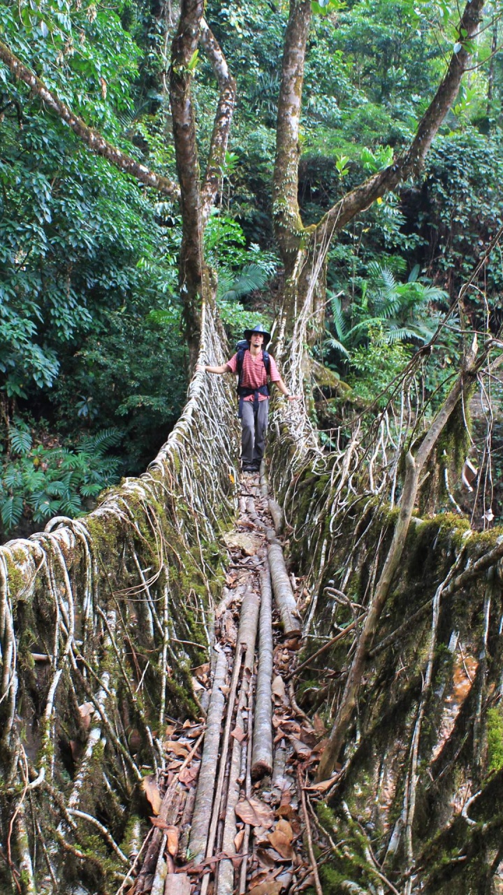 La Gente Caminando Sobre el Puente Colgante Rodeado de Árboles Verdes Durante el Día. Wallpaper in 720x1280 Resolution