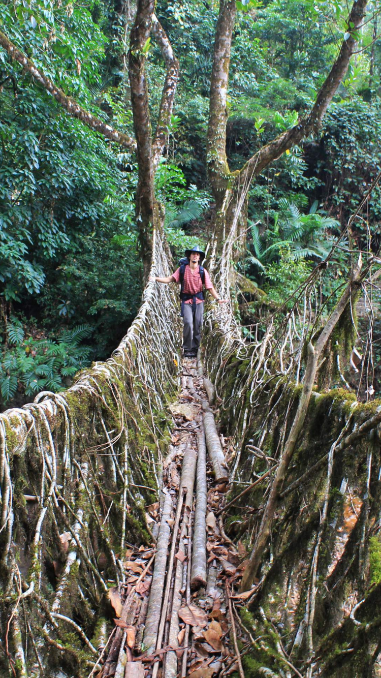 La Gente Caminando Sobre el Puente Colgante Rodeado de Árboles Verdes Durante el Día. Wallpaper in 750x1334 Resolution