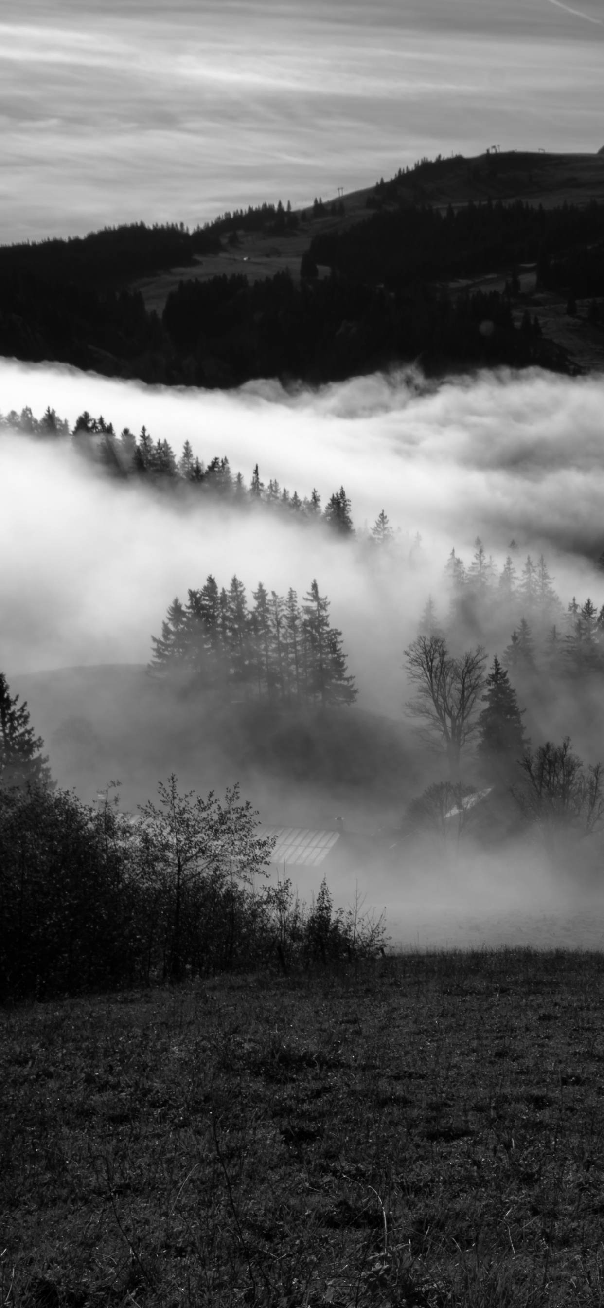 Samhain, Mountain, Nature, White, Mist. Wallpaper in 1242x2688 Resolution