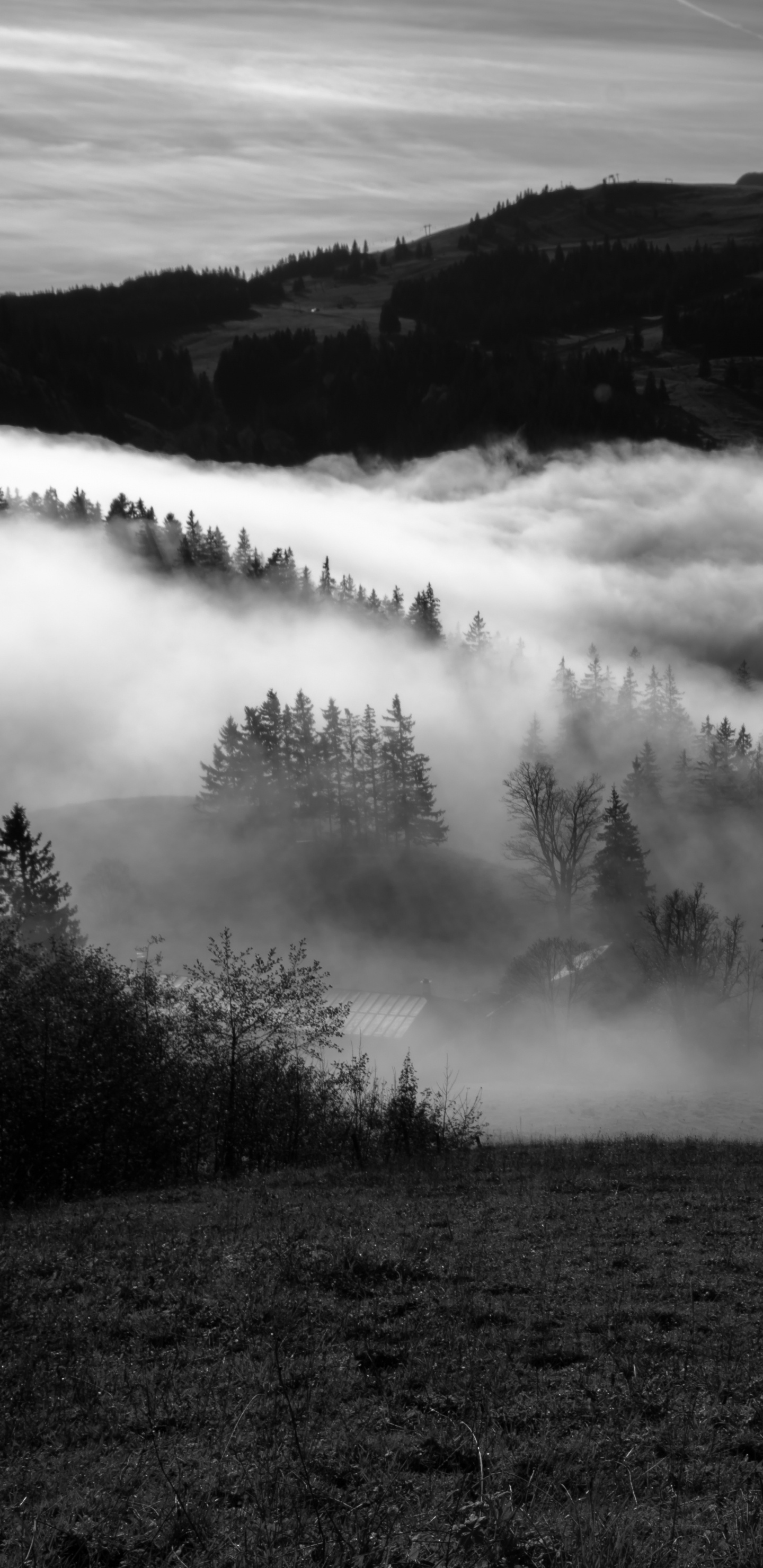 Samhain, Mountain, Nature, White, Mist. Wallpaper in 1440x2960 Resolution