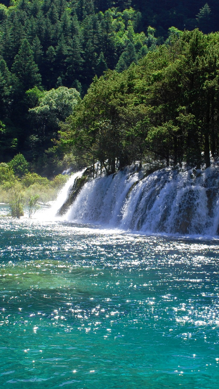 Green Trees Beside Waterfalls During Daytime. Wallpaper in 720x1280 Resolution
