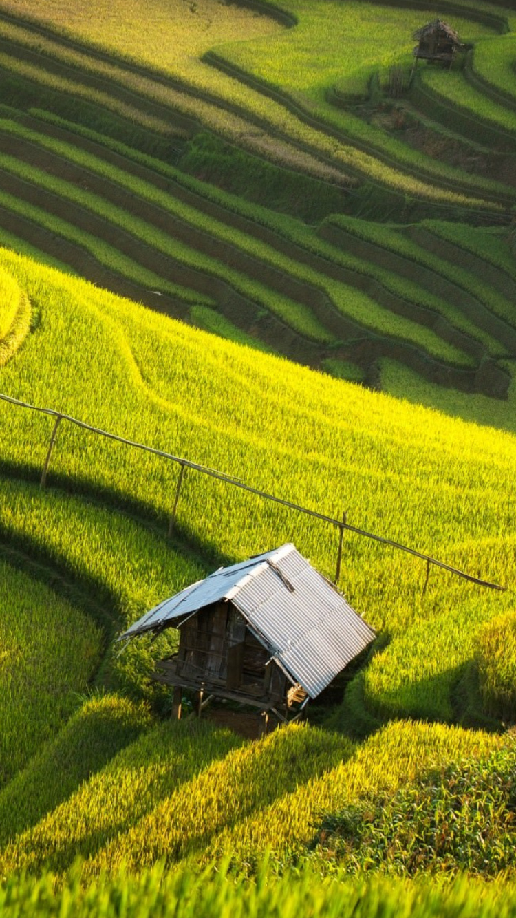 Vista Aérea Del Campo de Hierba Verde Durante el Día.. Wallpaper in 750x1334 Resolution