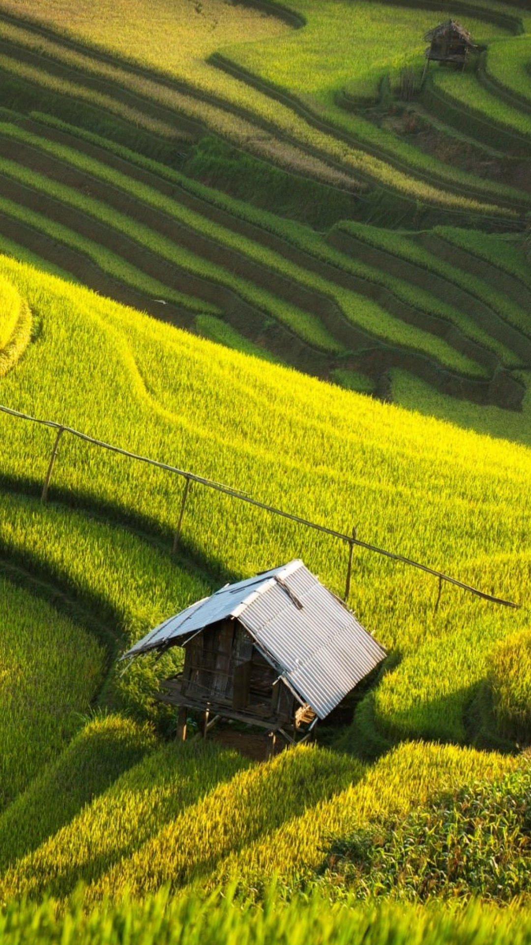 Aerial View of Green Grass Field During Daytime. Wallpaper in 1080x1920 Resolution