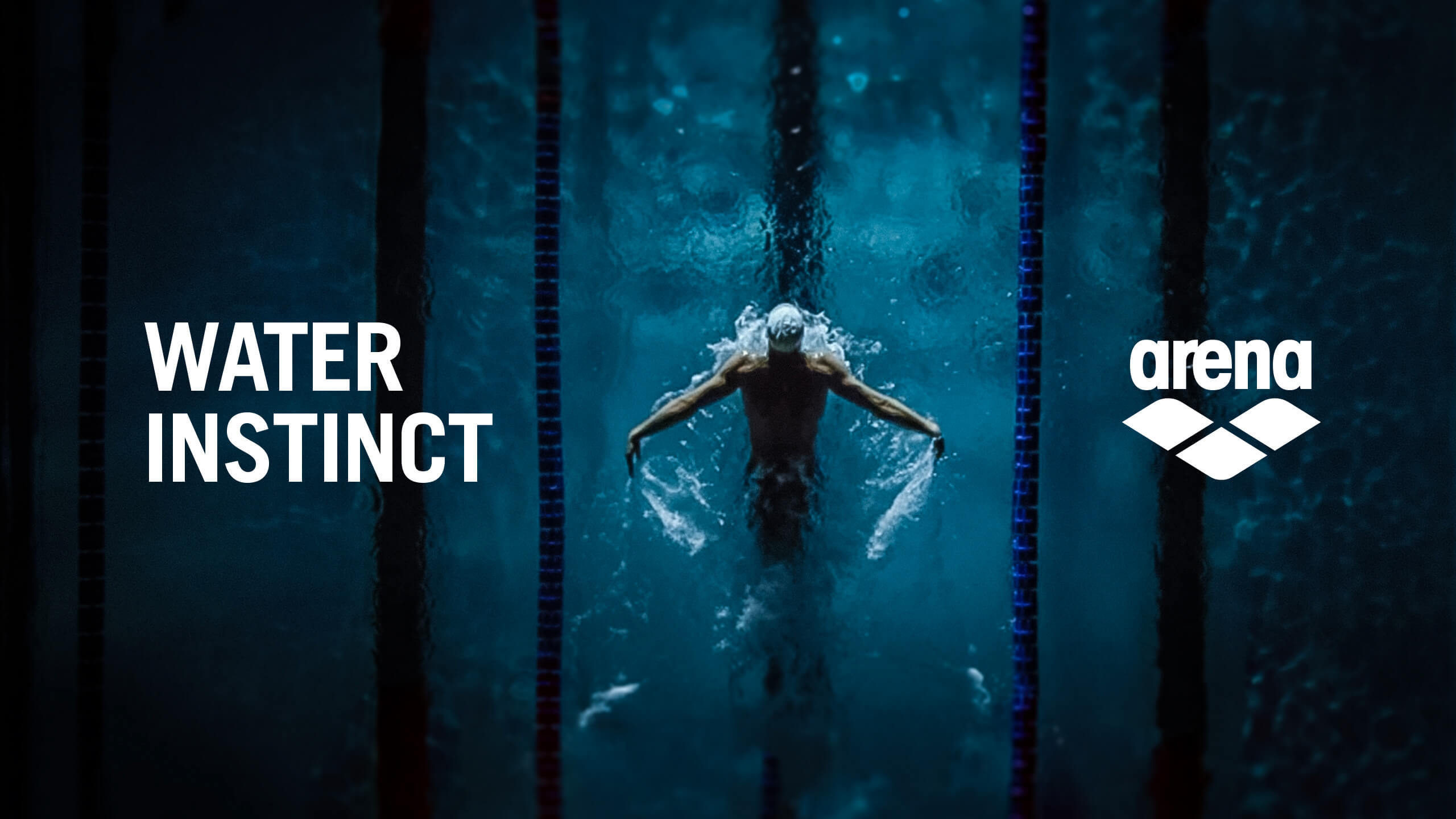 Arena, Swimsuit, Brand, Graphics, Graphic Design. Wallpaper in 2560x1440 Resolution