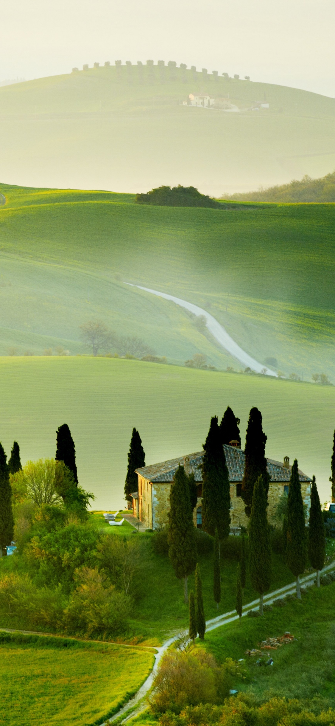 Green Grass Field Near Body of Water During Daytime. Wallpaper in 1125x2436 Resolution