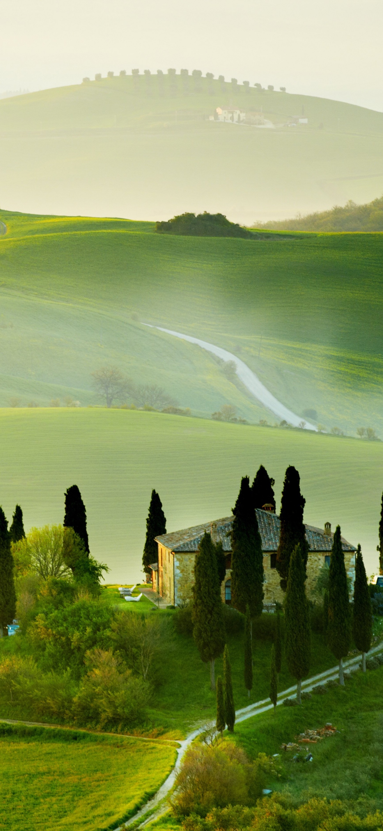 Green Grass Field Near Body of Water During Daytime. Wallpaper in 1242x2688 Resolution