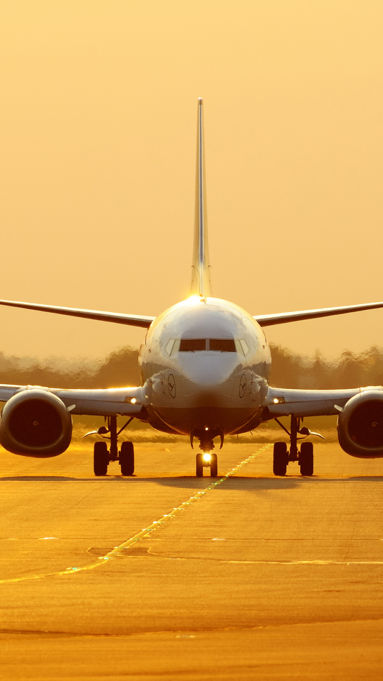 Avion Blanc Sur Champ Brun Pendant la Journée. Wallpaper in 750x1334 Resolution