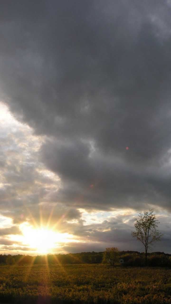 Tagsüber Grüne Wiese Unter Grauen Wolken. Wallpaper in 720x1280 Resolution