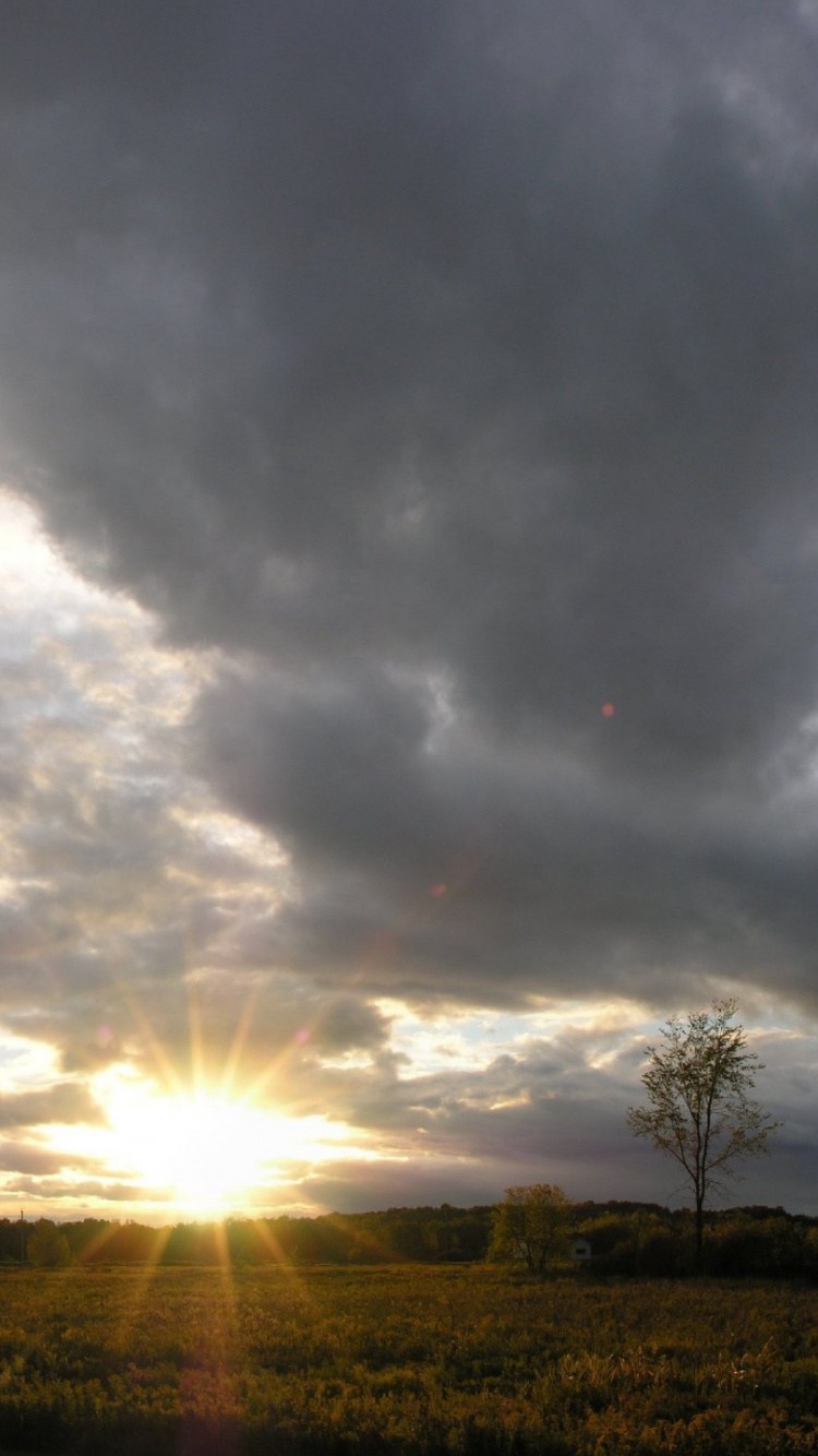 Tagsüber Grüne Wiese Unter Grauen Wolken. Wallpaper in 750x1334 Resolution
