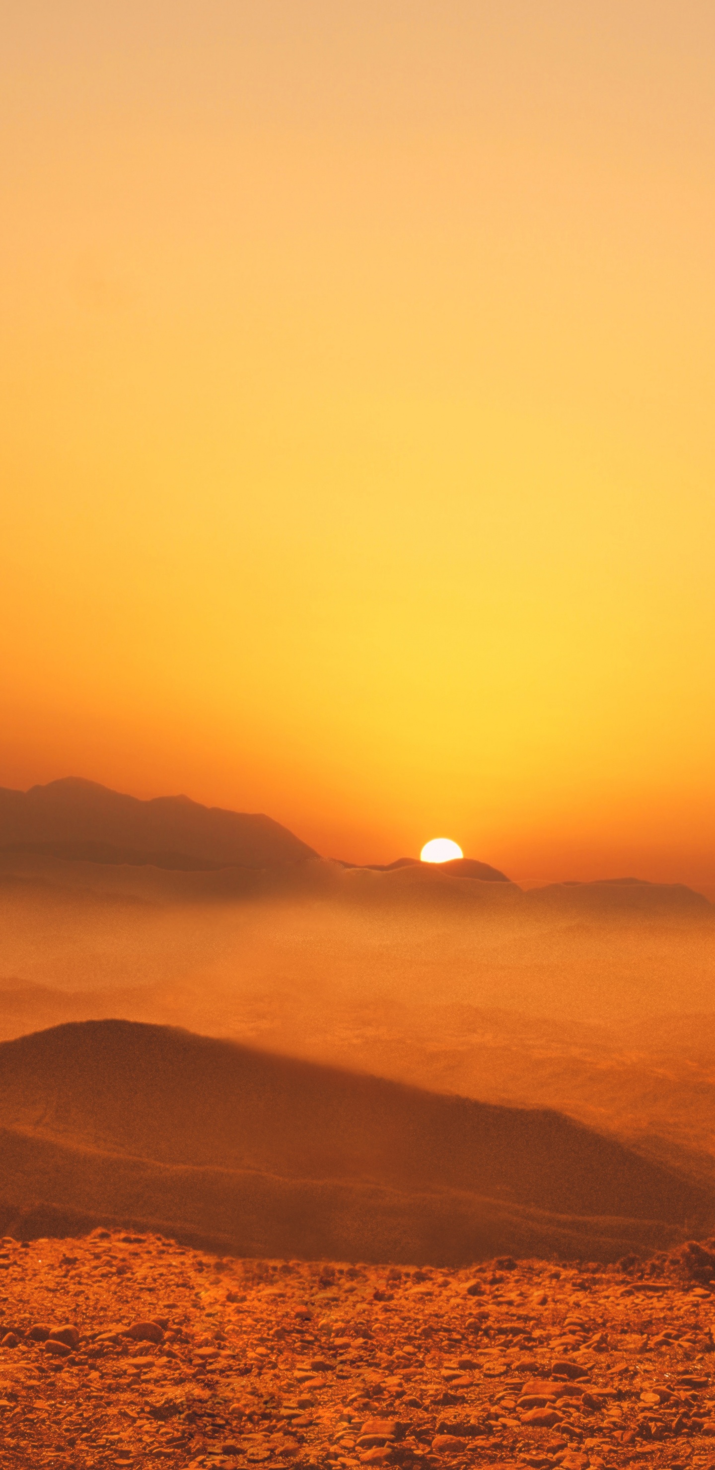 日落, 日出, 地平线, 余辉, 橙色 壁纸 1440x2960 允许