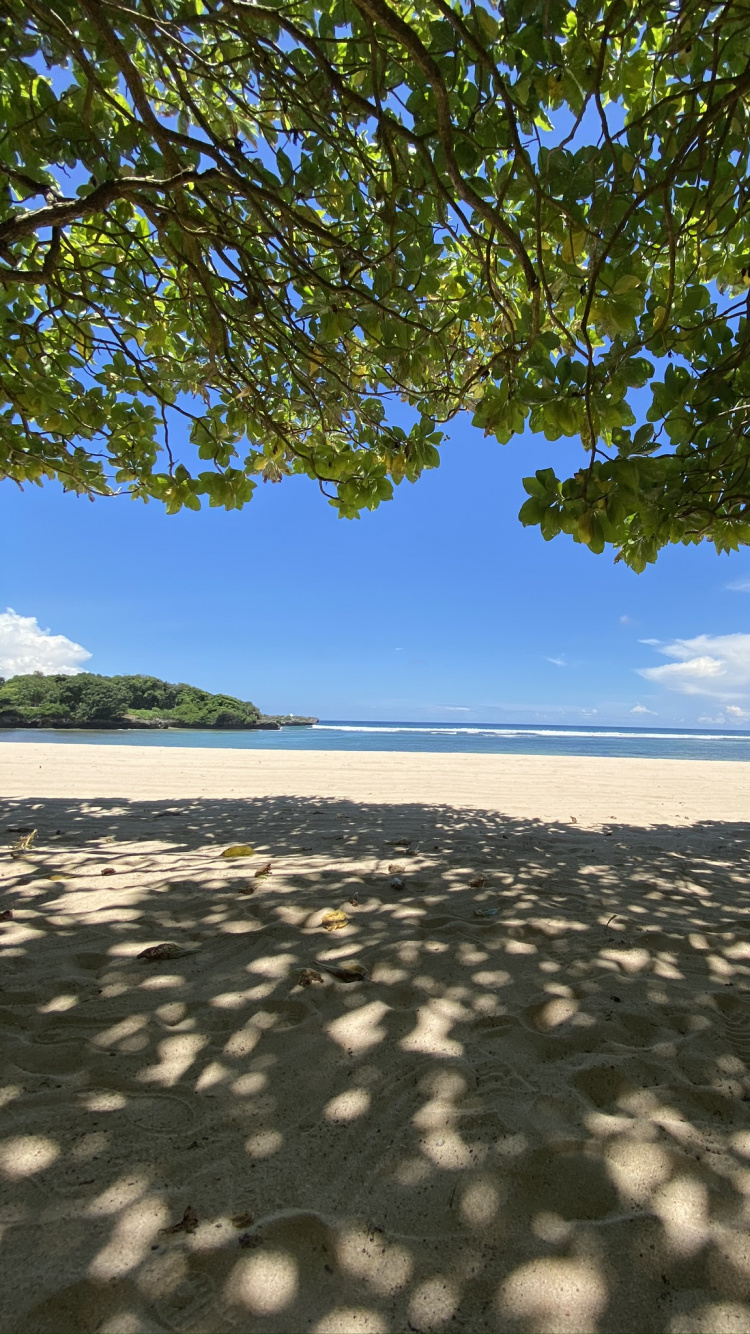 Wasser, Biologie, Branch, Sonnenlicht, Sand. Wallpaper in 750x1334 Resolution