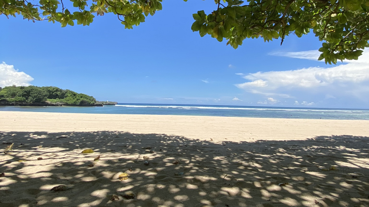 Water, Biology, Branch, Sunlight, Sand. Wallpaper in 1280x720 Resolution