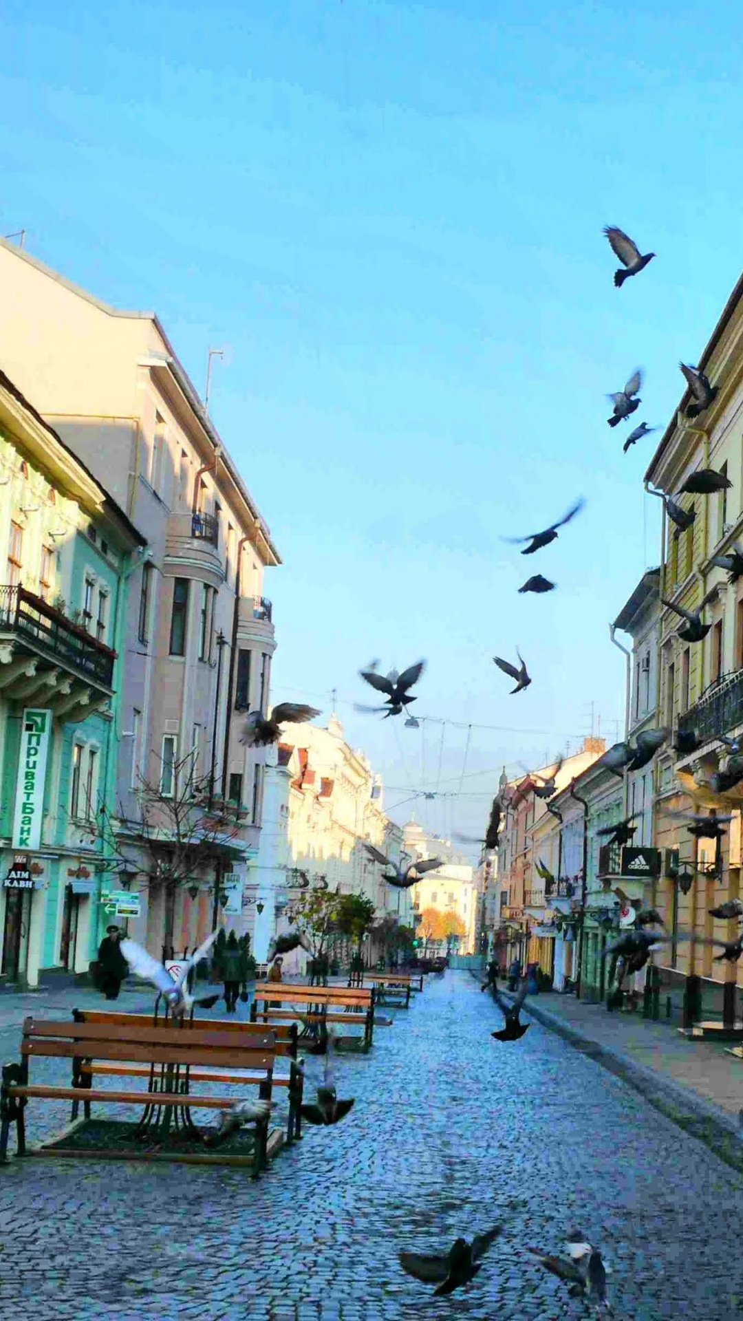 利沃夫, 街区, 街, 城市, 巷子里 壁纸 1080x1920 允许