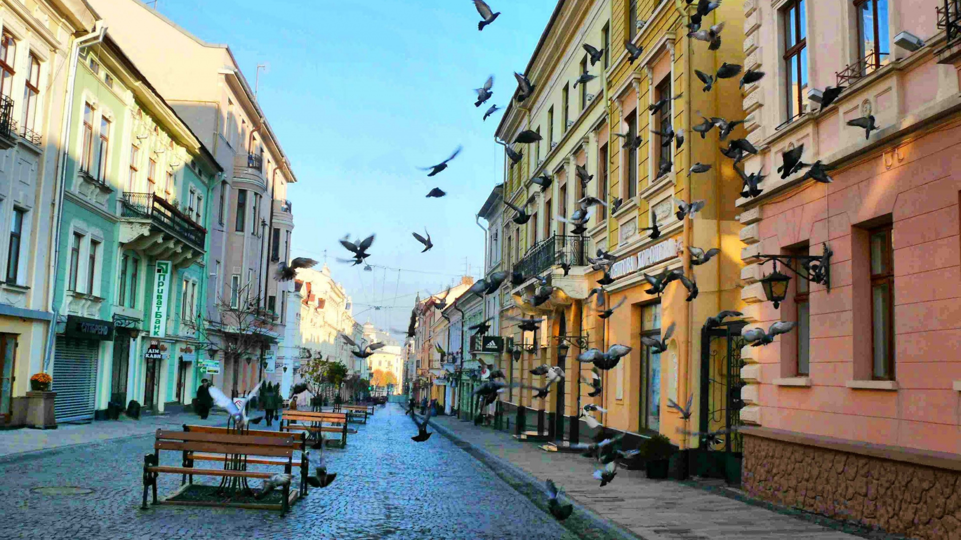 利沃夫, 街区, 街, 城市, 巷子里 壁纸 1920x1080 允许