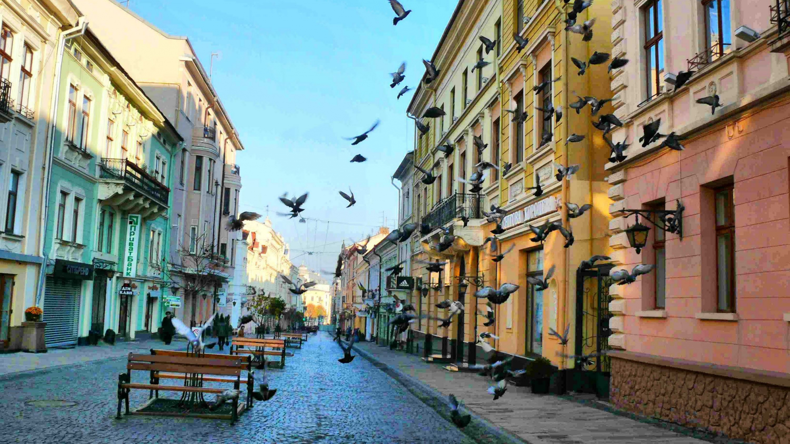 利沃夫, 街区, 街, 城市, 巷子里 壁纸 2560x1440 允许