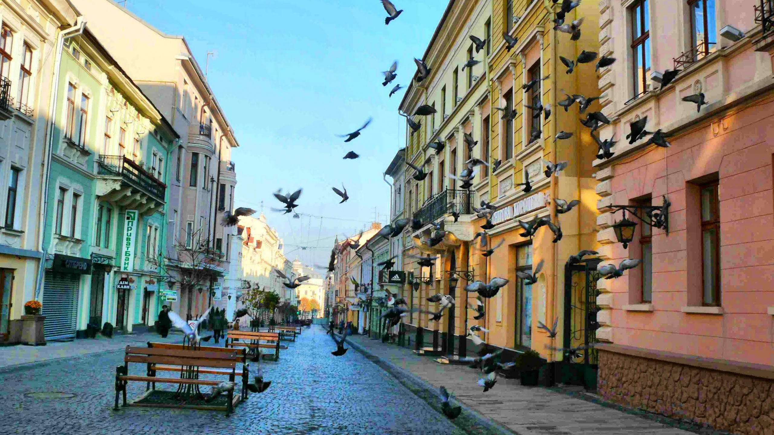 People Walking on Sidewalk Near Buildings During Daytime. Wallpaper in 2560x1440 Resolution