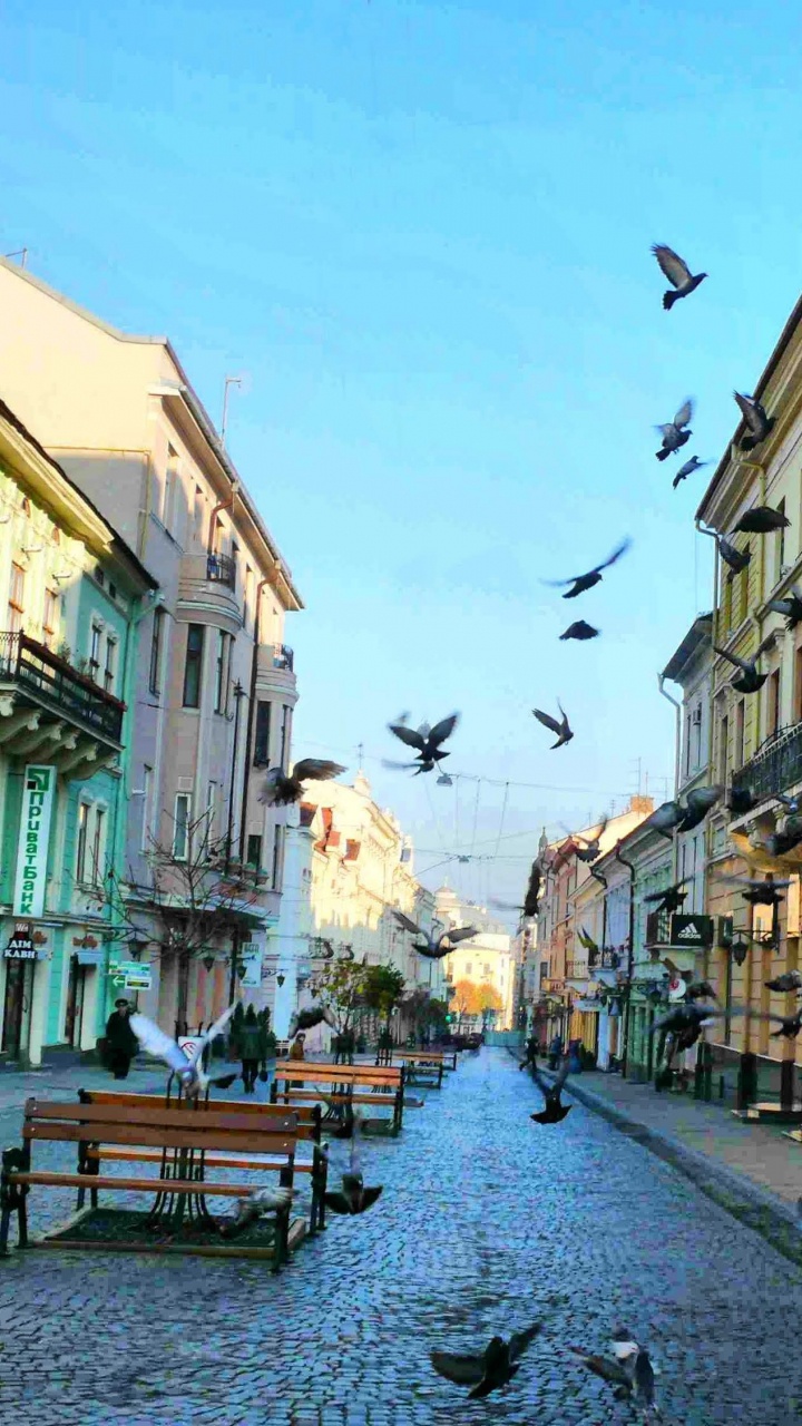 People Walking on Sidewalk Near Buildings During Daytime. Wallpaper in 720x1280 Resolution