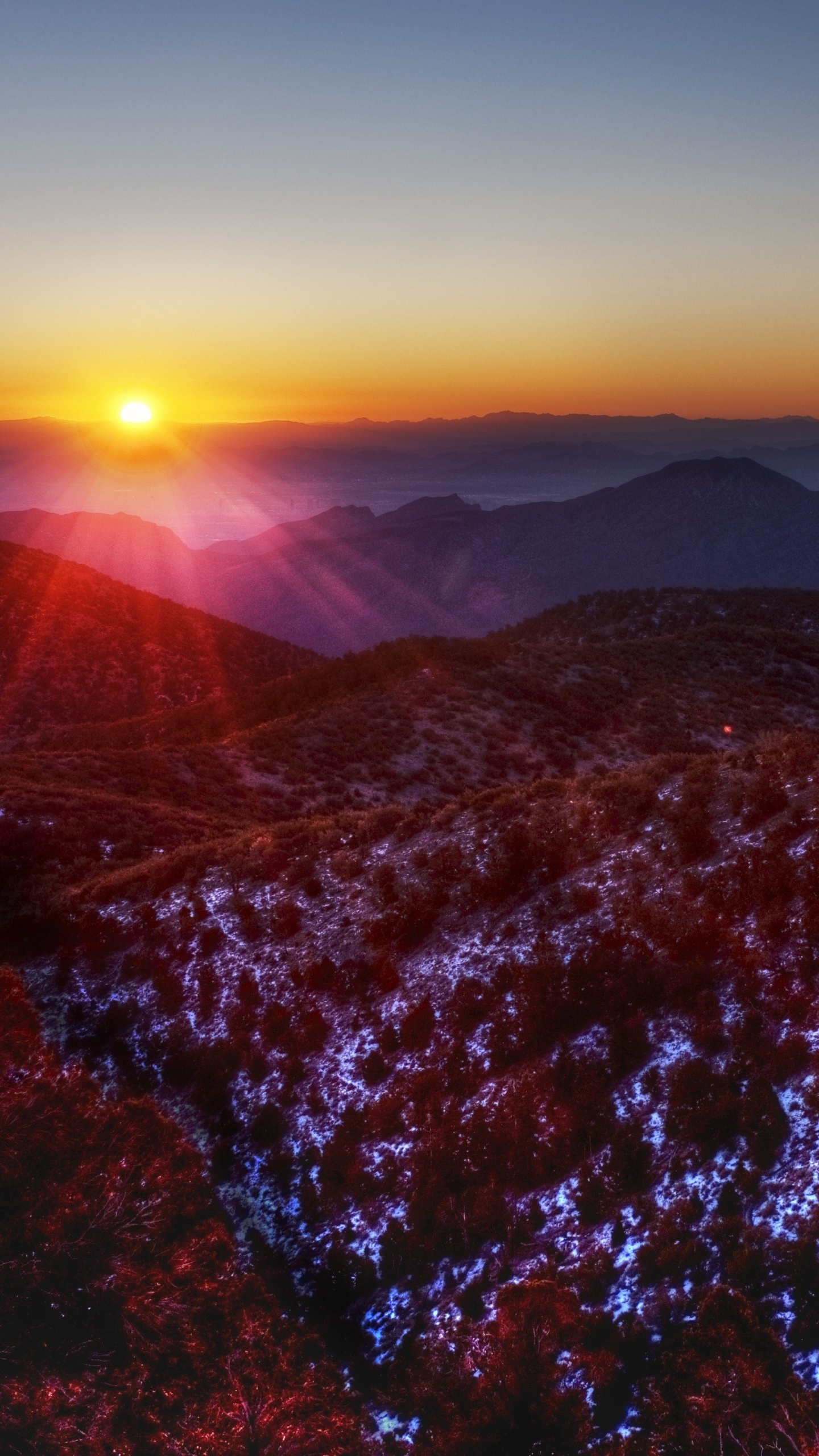Árboles Marrones en la Montaña Marrón Durante la Puesta de Sol. Wallpaper in 1440x2560 Resolution