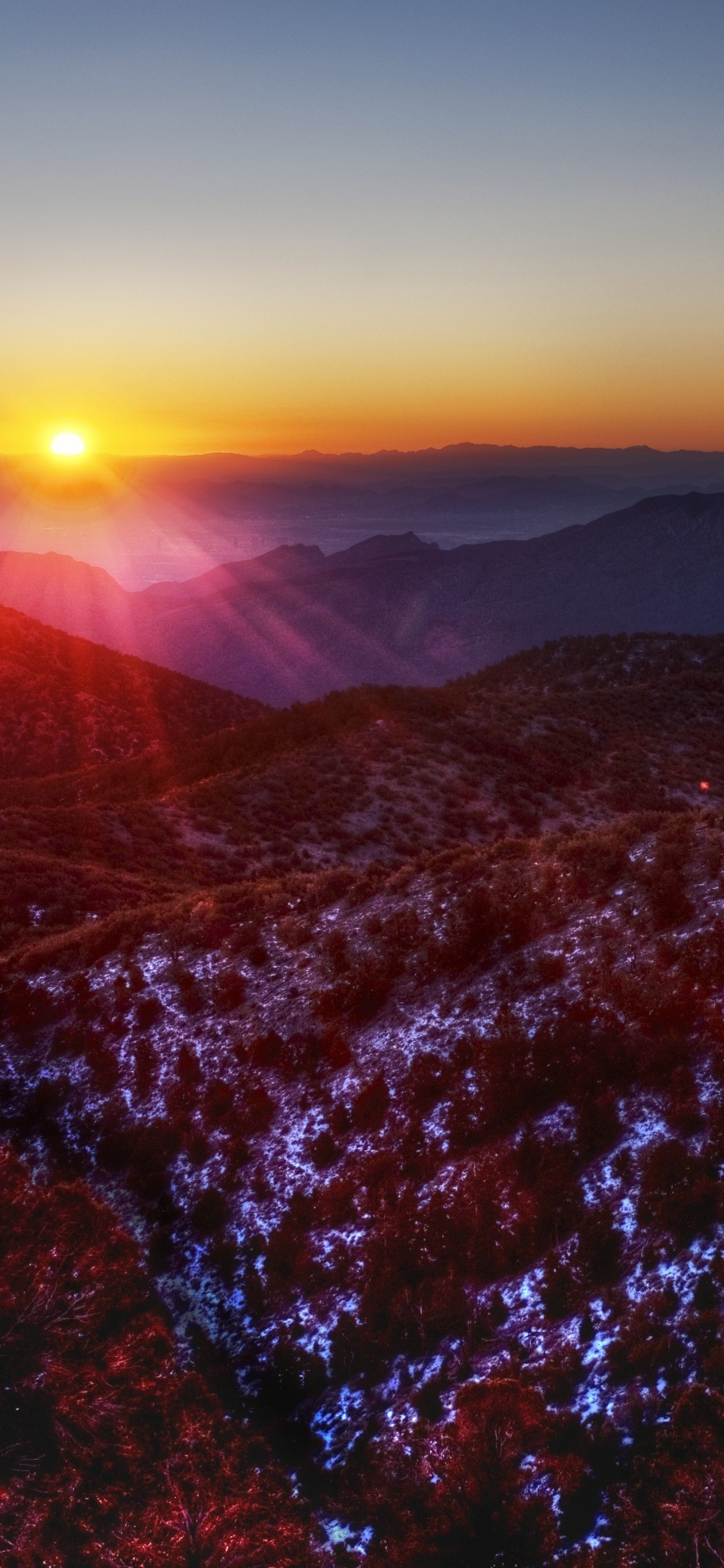 Brown Trees on Brown Mountain During Sunset. Wallpaper in 1242x2688 Resolution