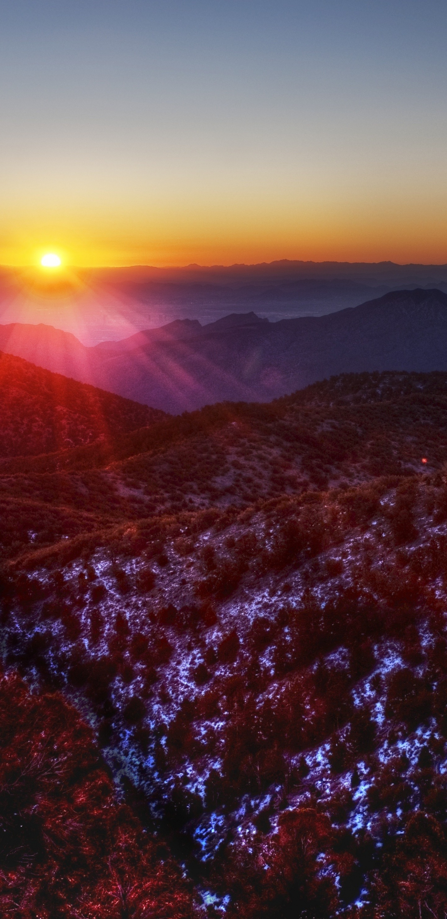 Braune Bäume Auf Braunem Berg Während Des Sonnenuntergangs. Wallpaper in 1440x2960 Resolution