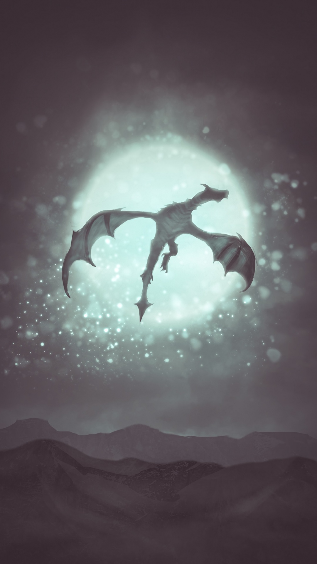 Silhouette of a Person Jumping. Wallpaper in 1080x1920 Resolution