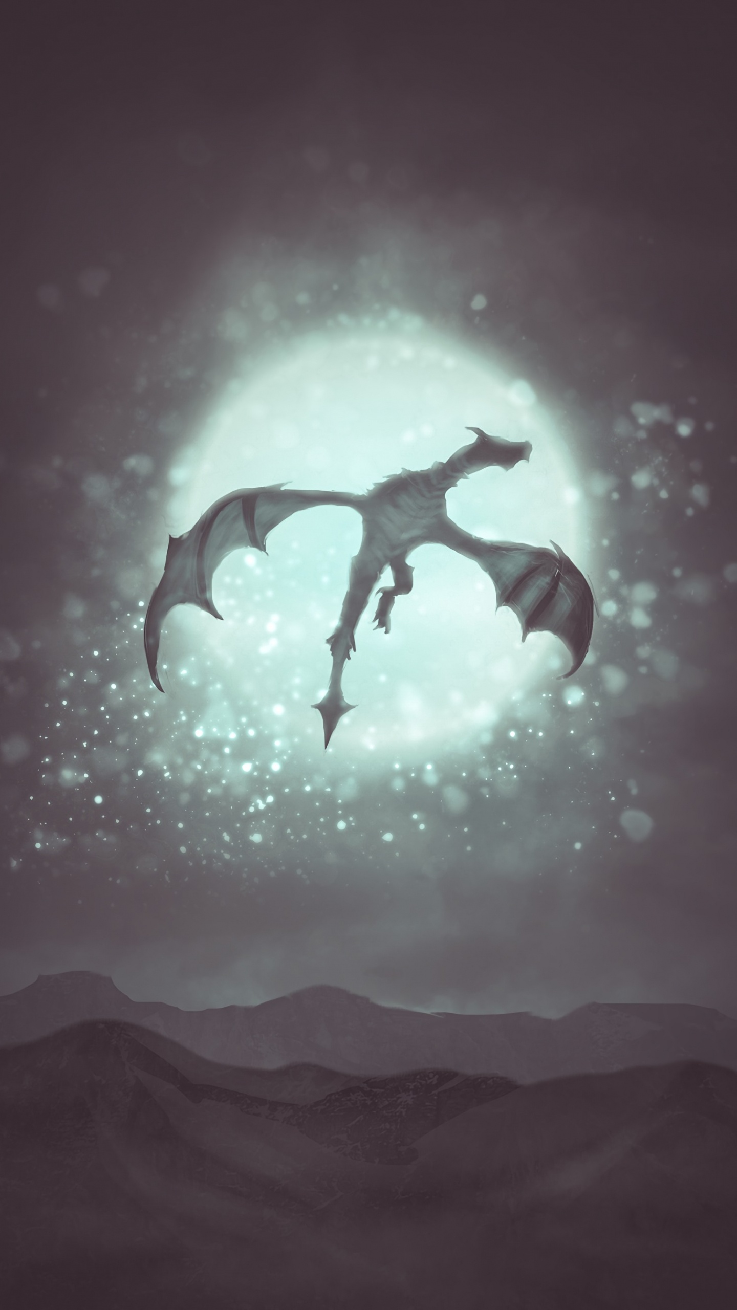 Silhouette of a Person Jumping. Wallpaper in 1440x2560 Resolution