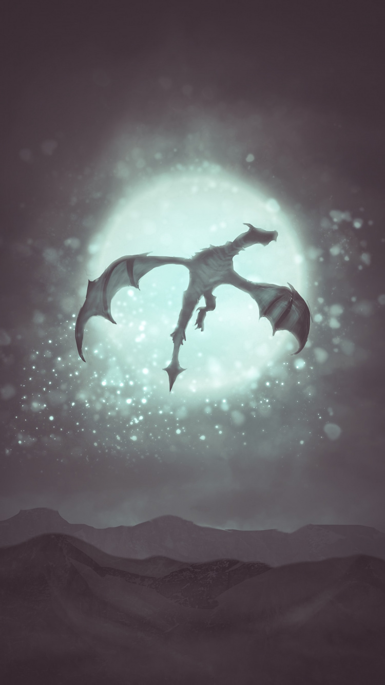 Silhouette of a Person Jumping. Wallpaper in 750x1334 Resolution