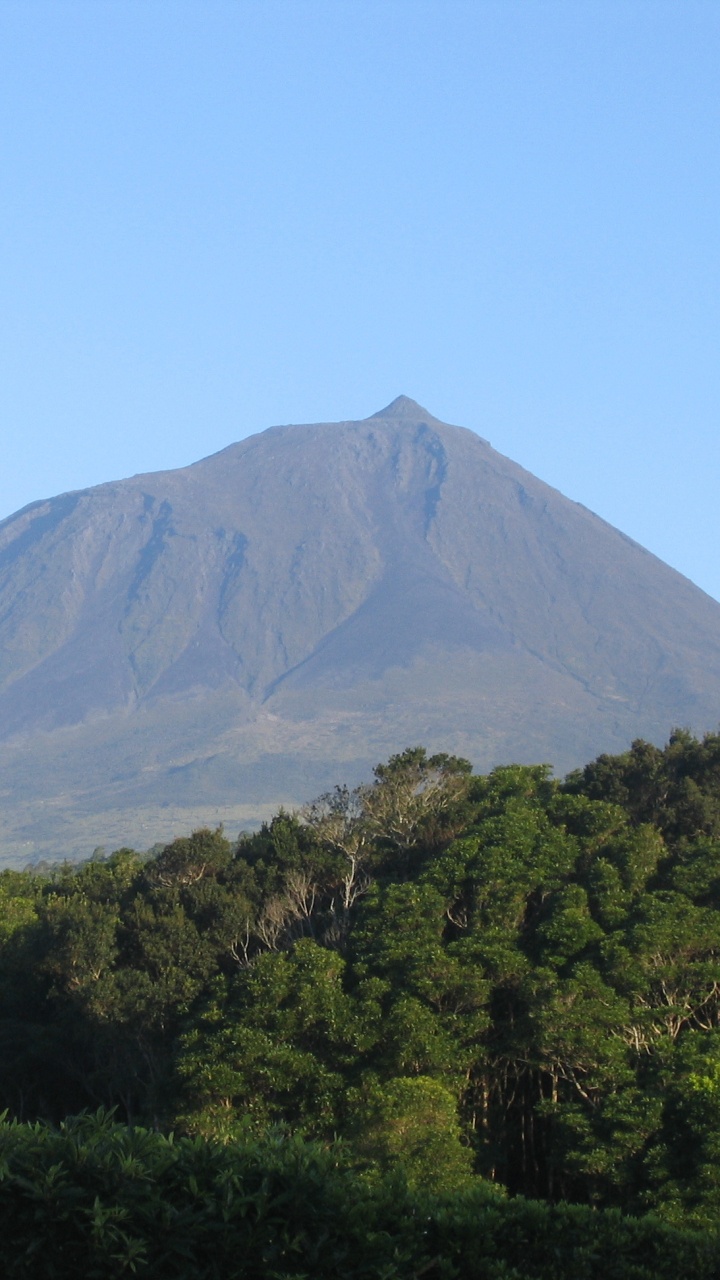 Árboles Verdes Cerca de la Montaña Bajo un Cielo Azul Durante el Día. Wallpaper in 720x1280 Resolution