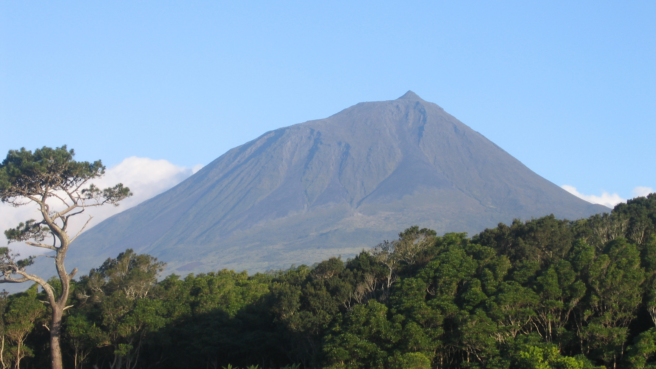 Grüne Bäume in Der Nähe Des Berges Unter Blauem Himmel Tagsüber. Wallpaper in 2560x1440 Resolution