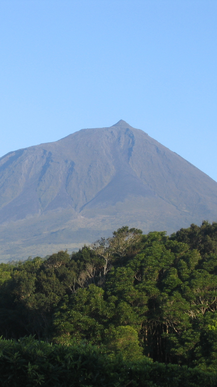 Grüne Bäume in Der Nähe Des Berges Unter Blauem Himmel Tagsüber. Wallpaper in 750x1334 Resolution