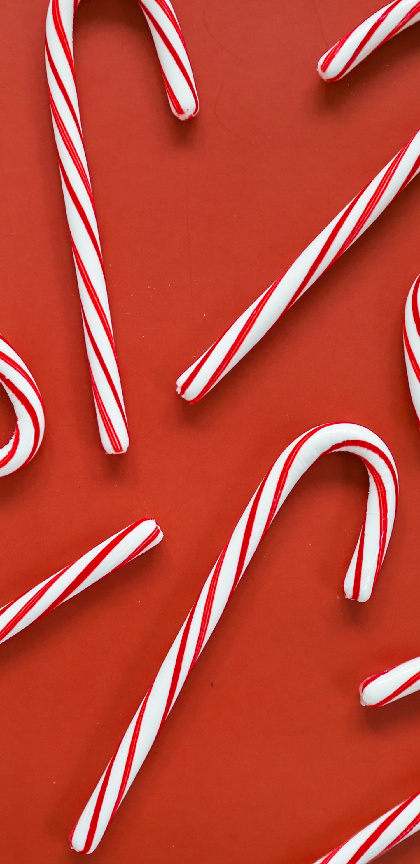 Cannes de Bonbon Rouges et Blanches. Wallpaper in 1440x2960 Resolution