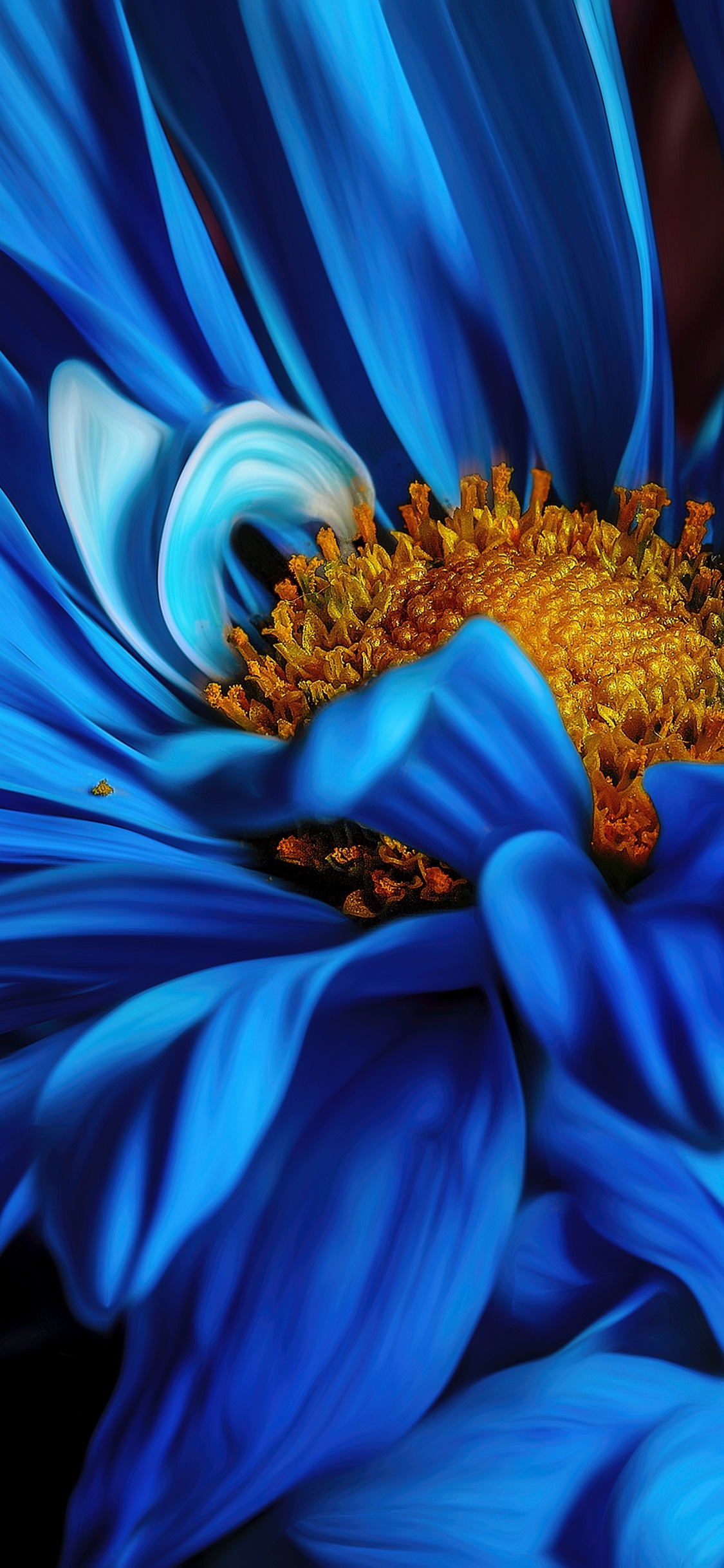 Flora, Blütenblatt, Blau, Blühende Pflanze, Electric Blue. Wallpaper in 1125x2436 Resolution