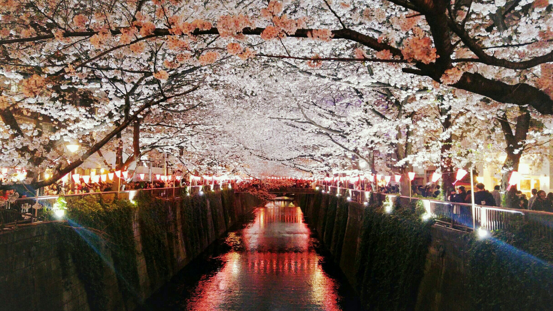 Braune Holzbrücke Über Den Fluss. Wallpaper in 1920x1080 Resolution