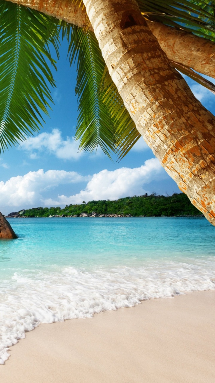 Formación de Roca Marrón en la Orilla Del Mar Durante el Día. Wallpaper in 720x1280 Resolution