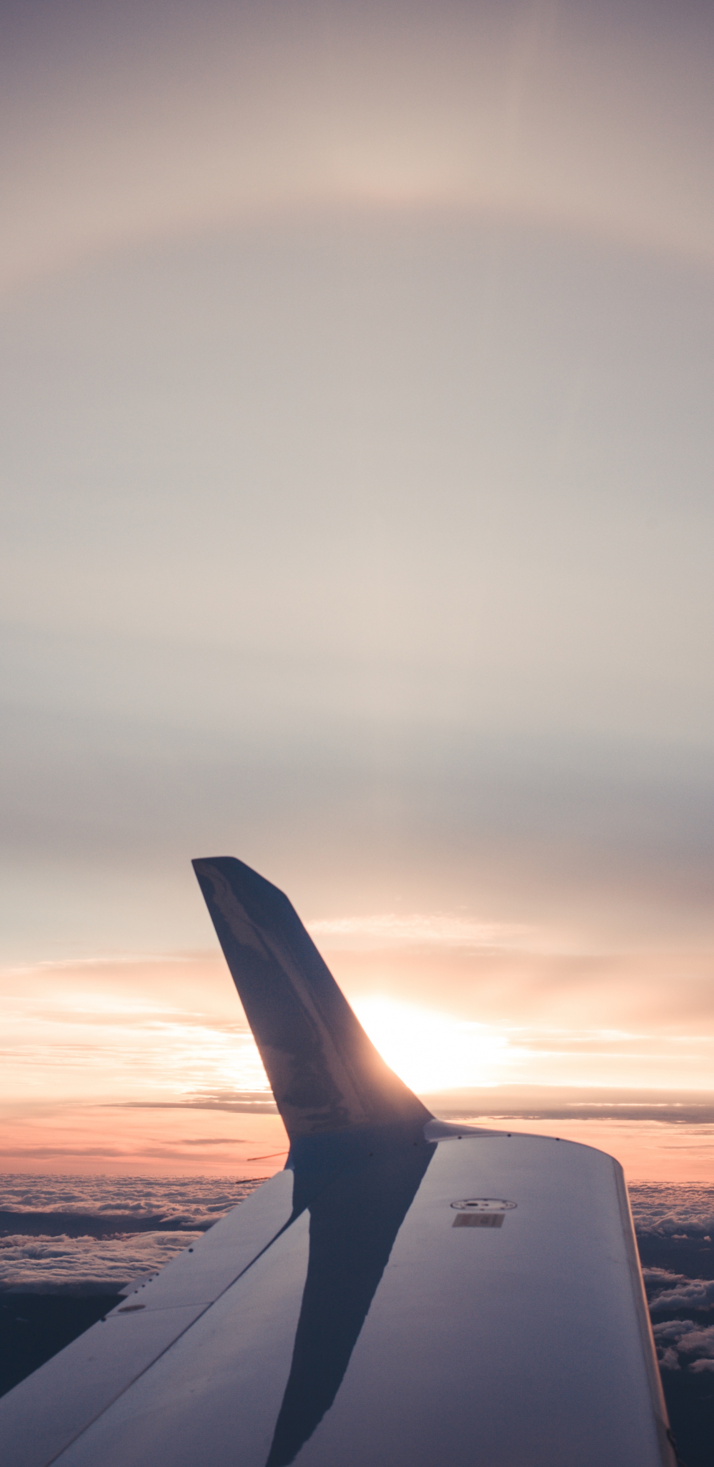 White and Black Airplane Wing During Daytime. Wallpaper in 1440x2960 Resolution