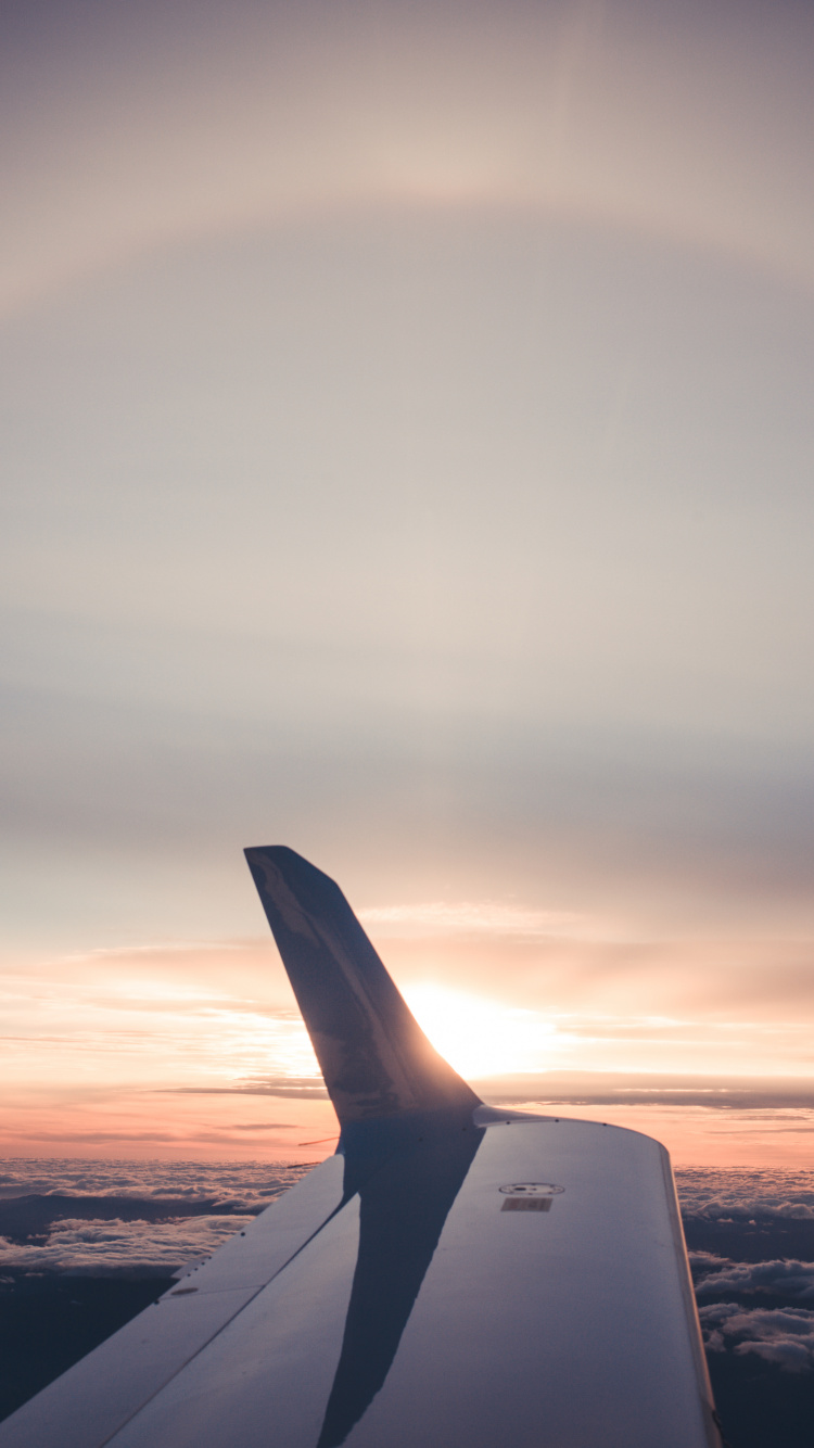 White and Black Airplane Wing During Daytime. Wallpaper in 750x1334 Resolution