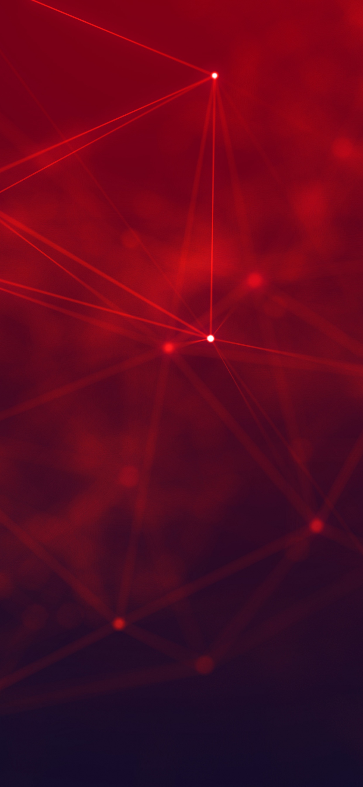 Spider Web in Close up Photography. Wallpaper in 1242x2688 Resolution