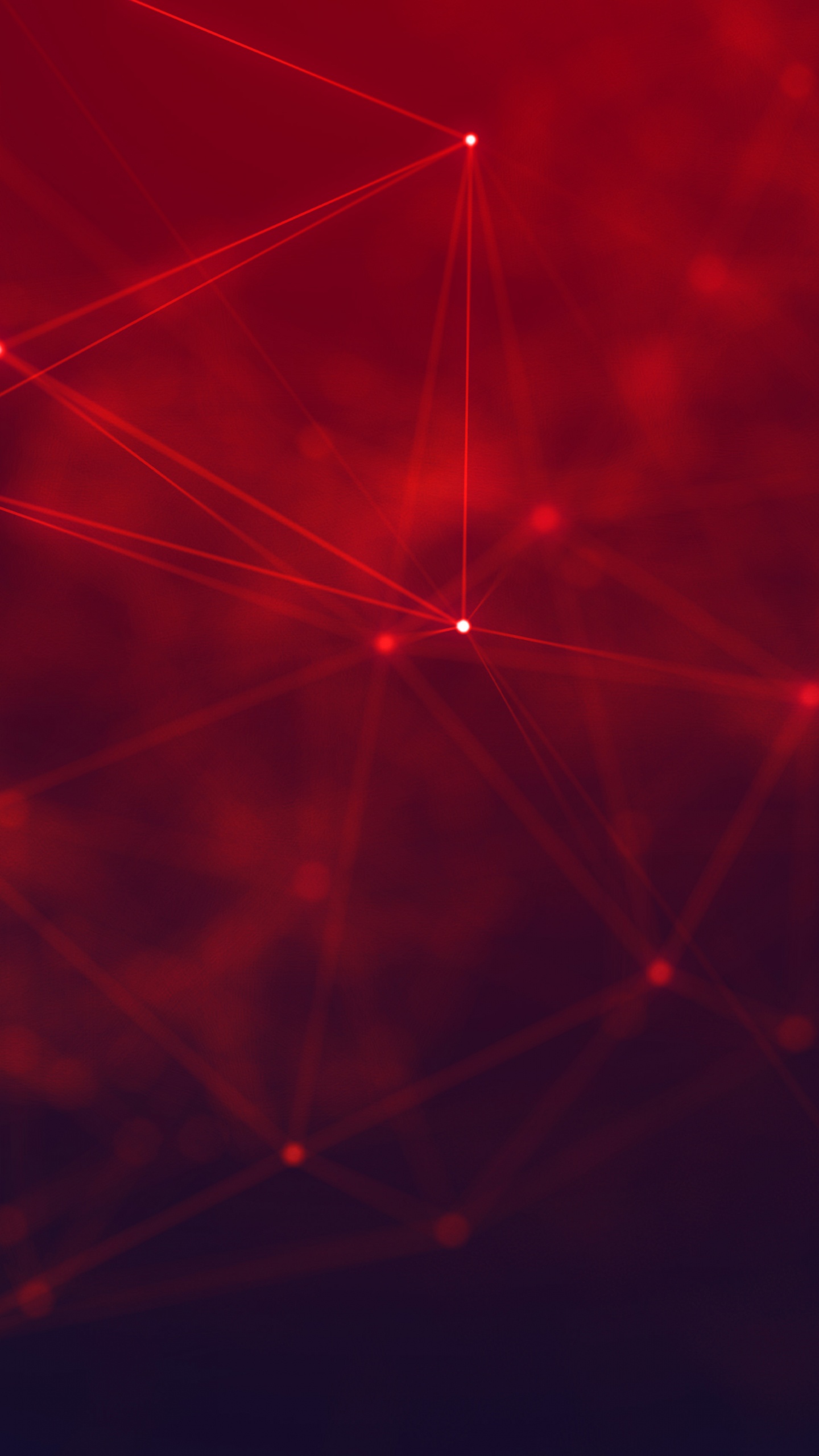 Spider Web in Close up Photography. Wallpaper in 1440x2560 Resolution