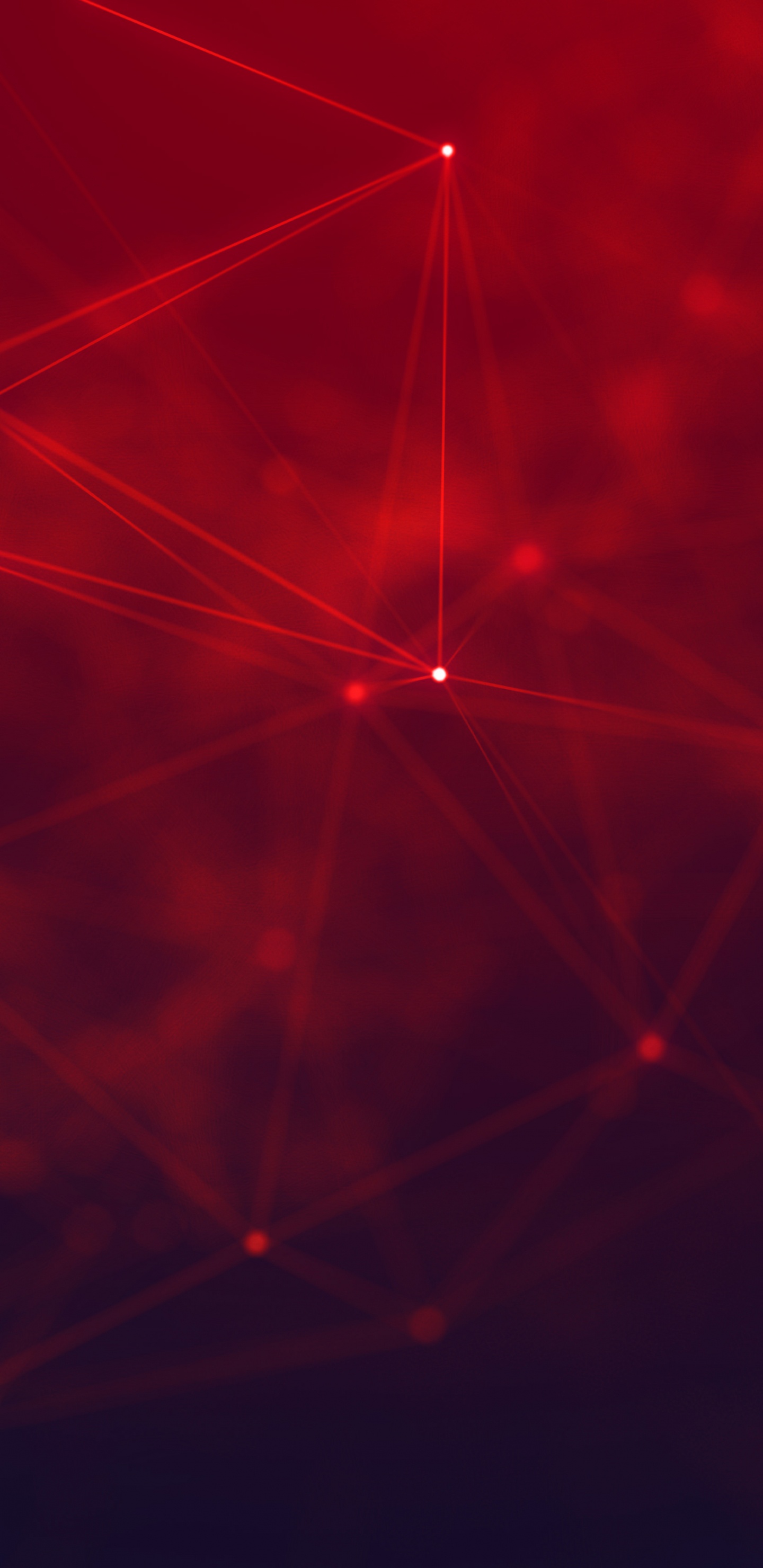 Telaraña, En, Primer Plano, Fotografía. Wallpaper in 1440x2960 Resolution