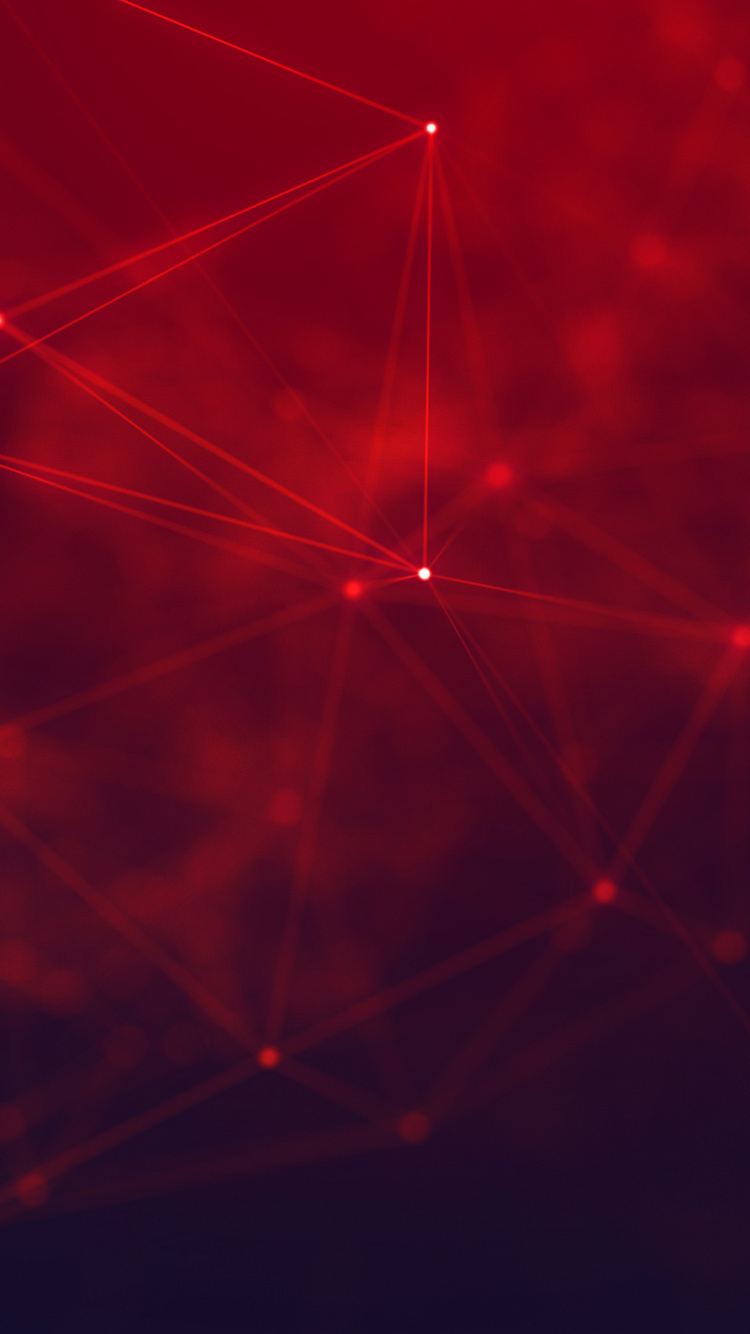 Spinnennetz in Nahaufnahme. Wallpaper in 750x1334 Resolution