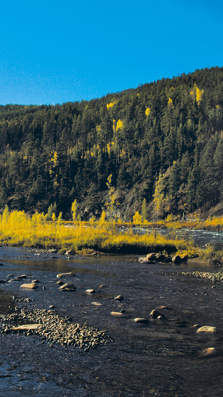 Green and Brown Mountain Beside Body of Water During Daytime. Wallpaper in 750x1334 Resolution